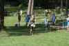 STH11_0159.JPG