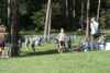 STH11_0261.JPG