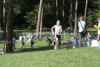 STH11_0263.JPG