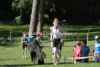 STH11_0512.JPG