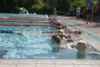 STH11_0885.jpg