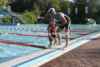 STH11_0891.jpg