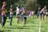 STH11_0959.jpg