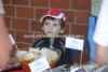 STH11_1060.jpg
