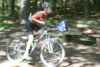 STH11_1275.jpg