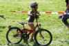 STH11_1325.jpg